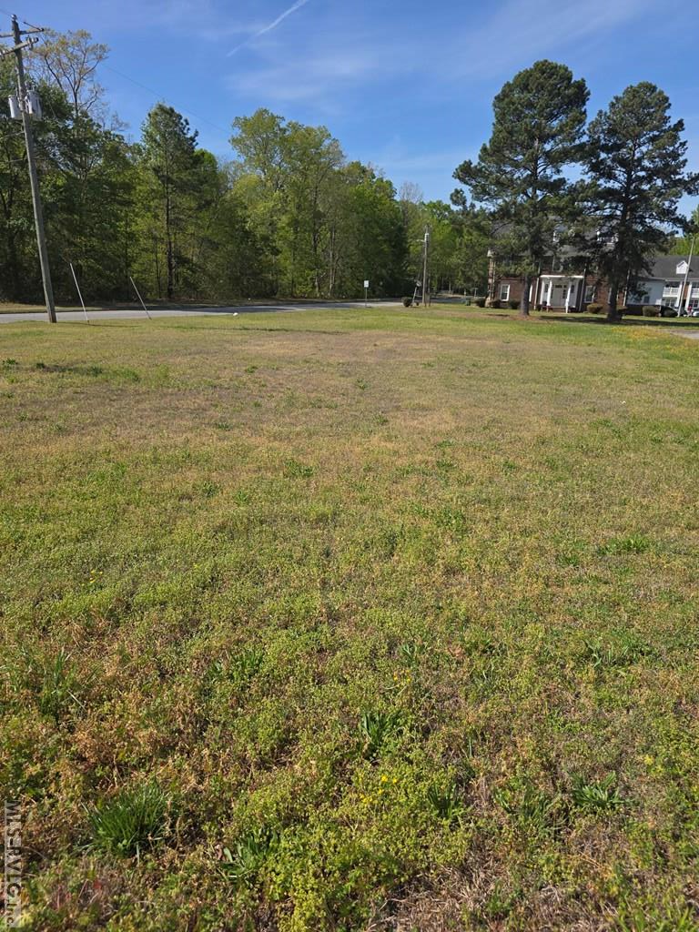 Commercial at Lot #2 Georgia Ave, Roanoke Rapids NC 27870, photo 2 of 5