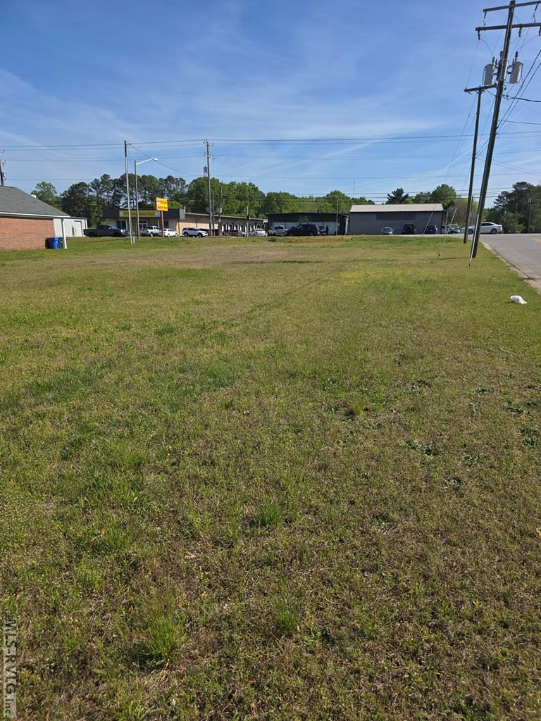 Commercial at Lot #2 Georgia Ave, Roanoke Rapids NC 27870, photo 4 of 5