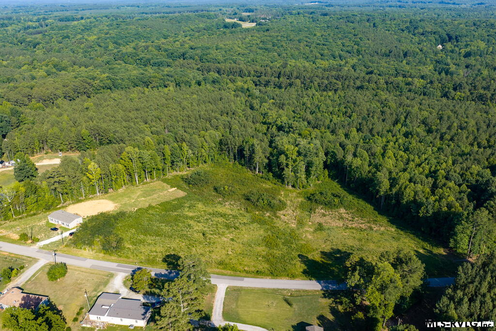 Acreage at Lot 1 Oak Road, Brodnax VA 23920, photo 5 of 24