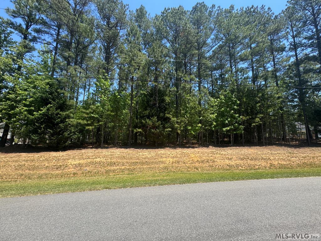 Residential Lot-Restricted at Lot 135 Edgewater Dr., Roanoke Rapids NC 27870, photo 8 of 24