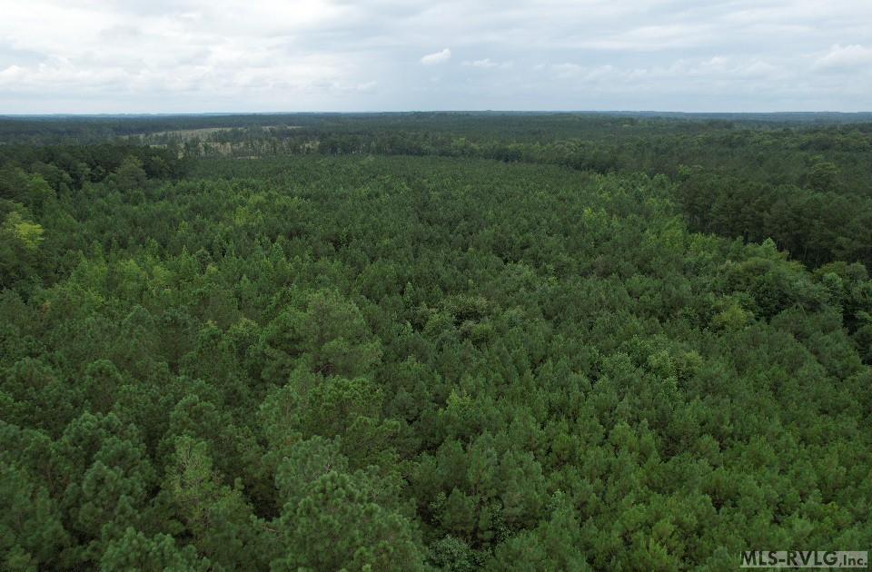 Acreage at 0 Medoc Mountain Rd, Hollister NC 27844, photo 11 of 14