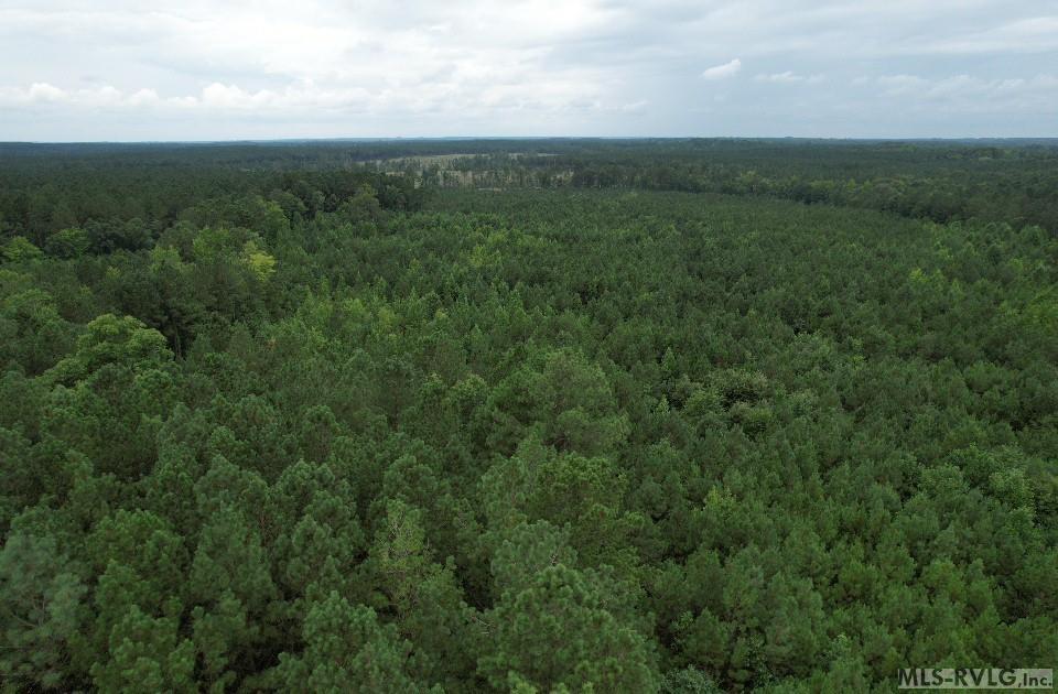 Acreage at 0 Medoc Mountain Rd, Hollister NC 27844, photo 12 of 14