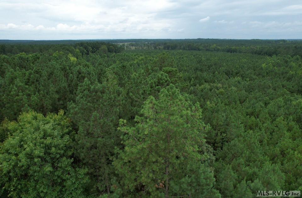 Acreage at 0 Medoc Mountain Rd, Hollister NC 27844, photo 13 of 14