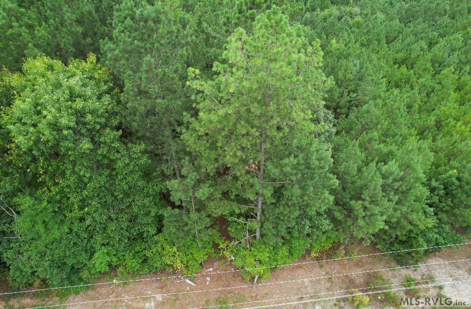 Acreage at 0 Medoc Mountain Rd, Hollister NC 27844, photo 14 of 14