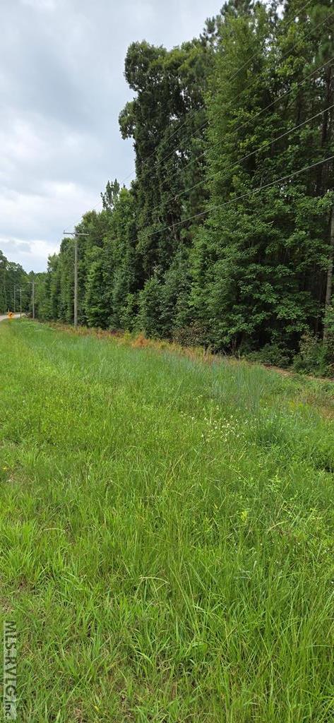 Acreage at 0 Medoc Mountain Rd, Hollister NC 27844, photo 2 of 14