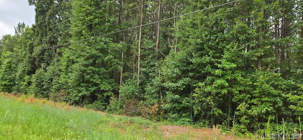 Acreage at 0 Medoc Mountain Rd, Hollister NC 27844, photo 3 of 14