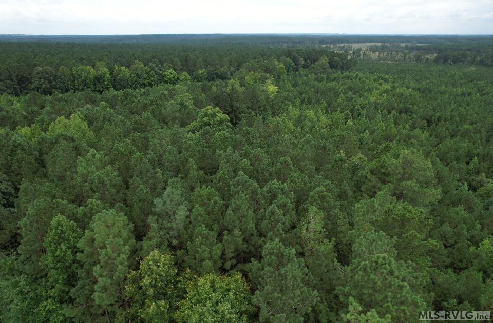 Acreage at 0 Medoc Mountain Rd, Hollister NC 27844, photo 5 of 14