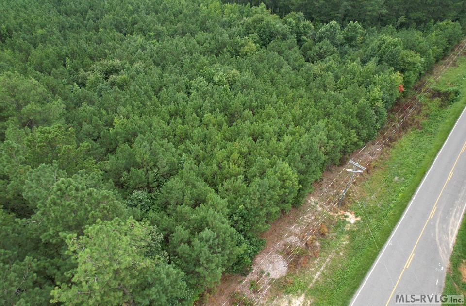 Acreage at 0 Medoc Mountain Rd, Hollister NC 27844, photo 8 of 14