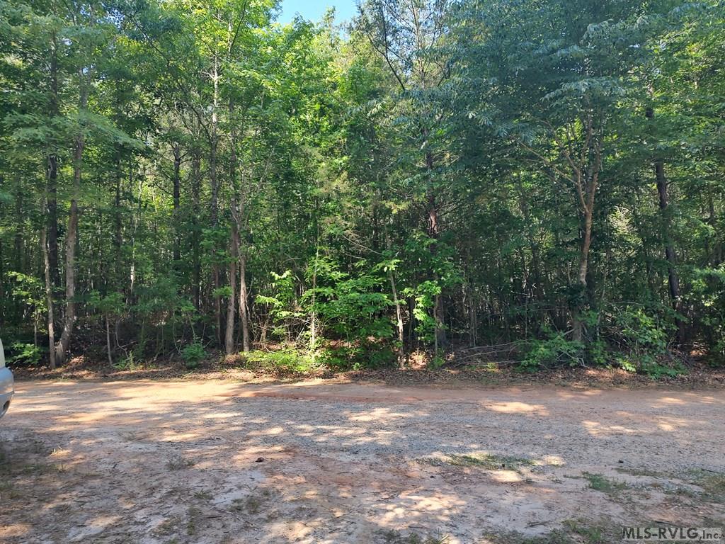 Acreage at 0 Gilliland Street, Warrenton NC 27589, photo 2 of 6