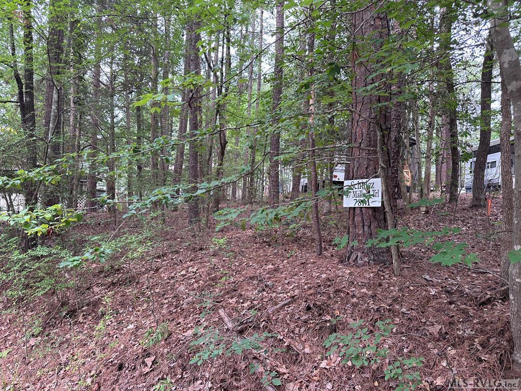Residential Lot-Restricted at 57 Mallard Trail, Bracey VA 23919, photo 2 of 5