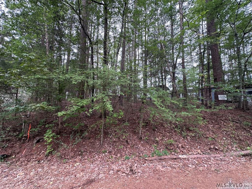 Residential Lot-Restricted at 57 Mallard Trail, Bracey VA 23919, photo 3 of 5