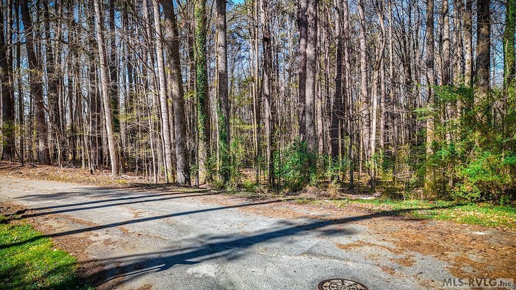 Acreage at 000 Union St, Lawrenceville VA 23868, photo 2 of 12