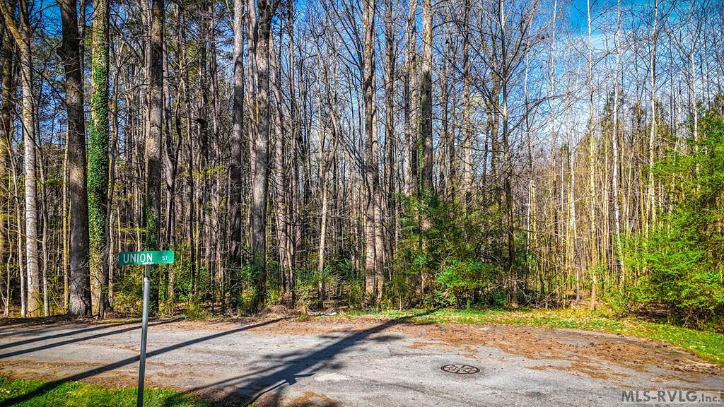 Acreage at 000 Union St, Lawrenceville VA 23868, photo 4 of 12