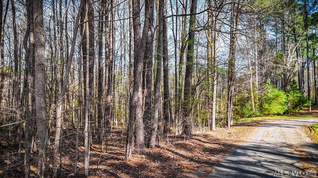Acreage at 000 Union St, Lawrenceville VA 23868, photo 5 of 12