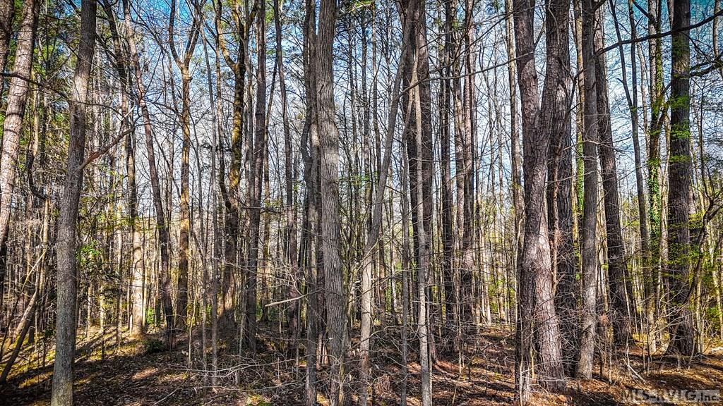 Acreage at 000 Union St, Lawrenceville VA 23868, photo 8 of 12
