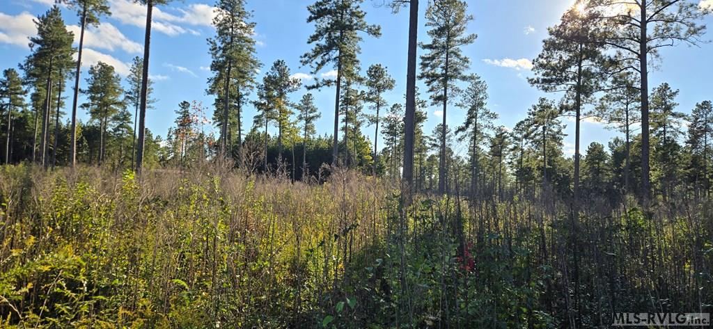 Residential Lot-Unrestricted at Lot 4 Christanna Hwy, Lawrenceville VA 23868, photo 2 of 6