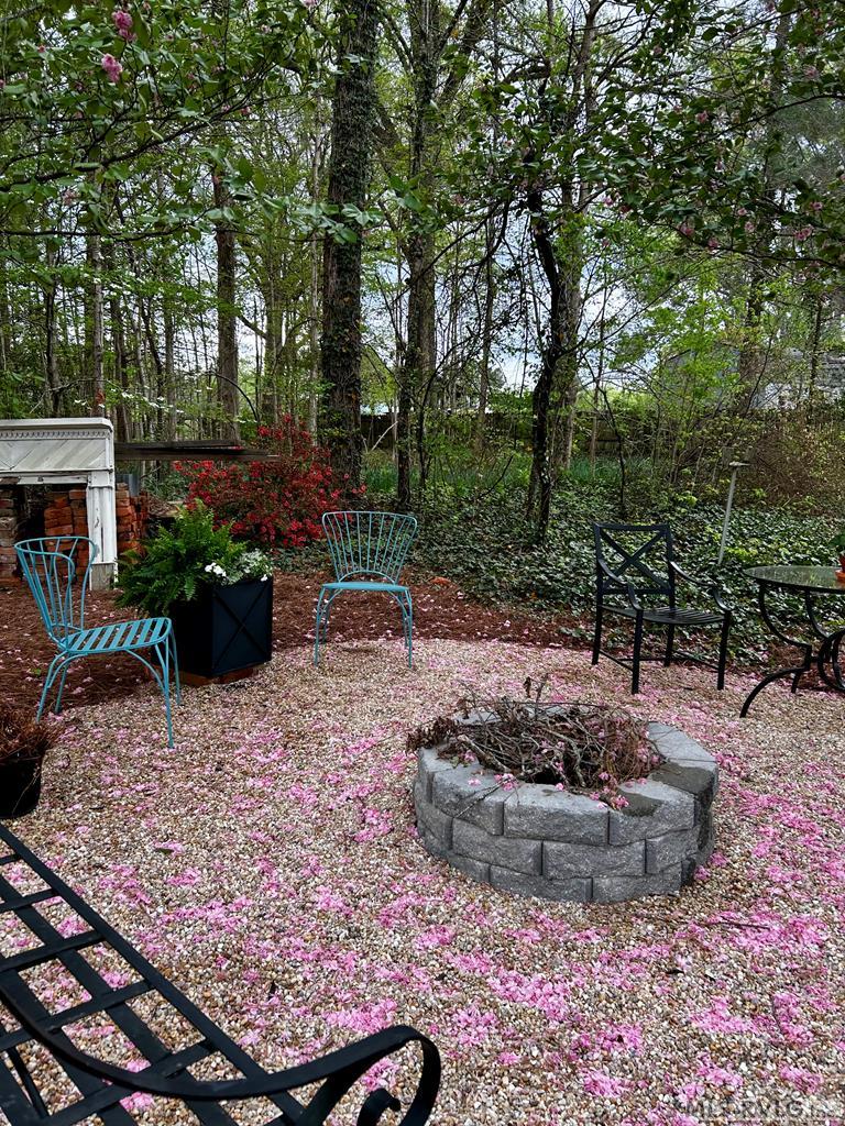 Cherry Tree Blossoms have fallen! - 401 Mosby Ave, Littleton NC 27850