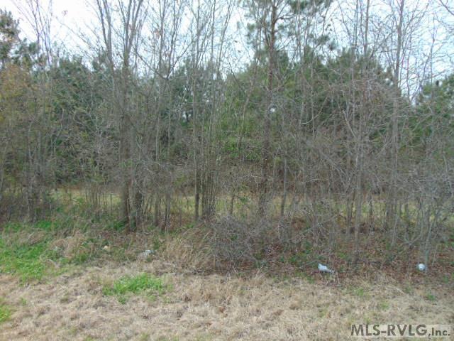 Main View - 3.92 Ac. Hwy 301, Enfield NC 27823