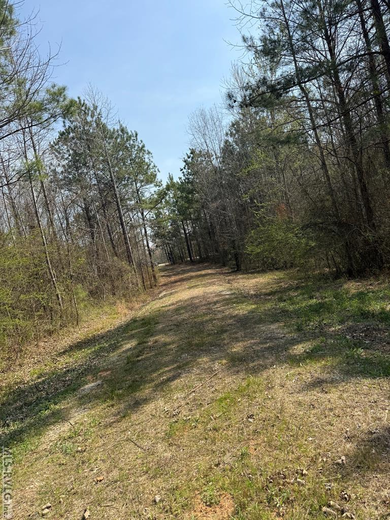 Acreage at 1280 Schloss Rd, Louisburg NC 27549, photo 10 of 11