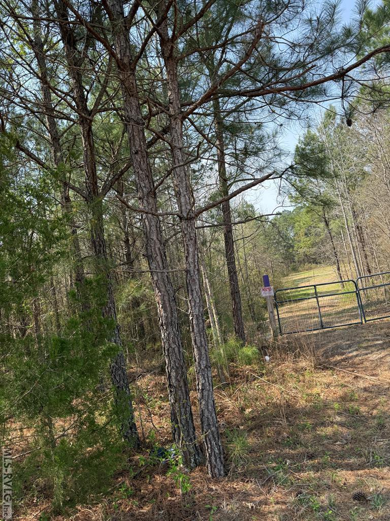 Acreage at 1280 Schloss Rd, Louisburg NC 27549, photo 5 of 11