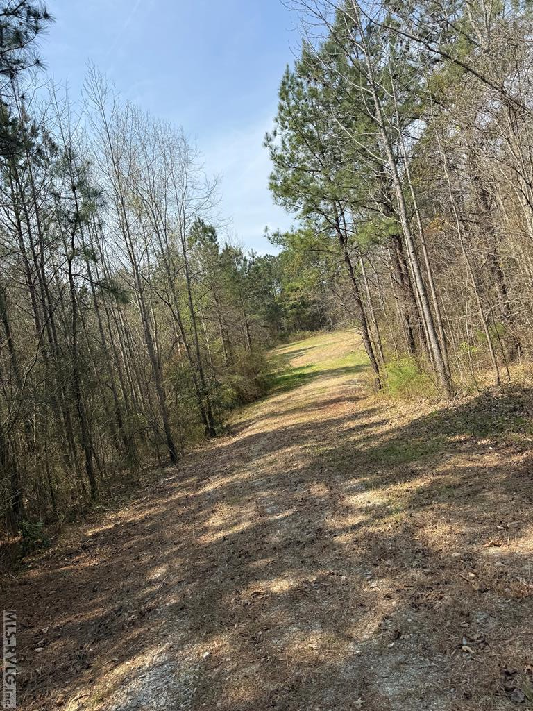 Acreage at 1280 Schloss Rd, Louisburg NC 27549, photo 6 of 11