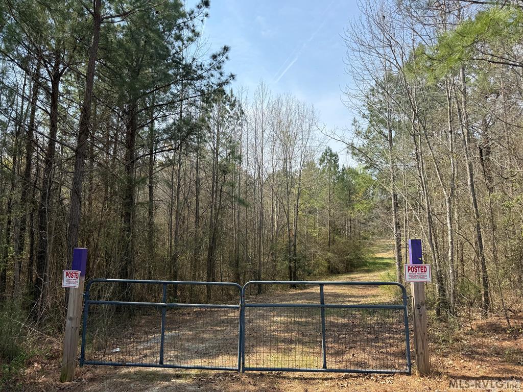Acreage at 1280 Schloss Rd, Louisburg NC 27549, photo 7 of 11