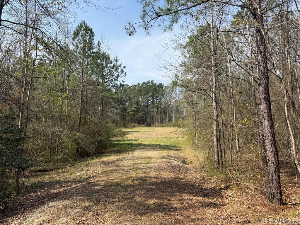 Acreage at 1280 Schloss Rd, Louisburg NC 27549, photo 8 of 11