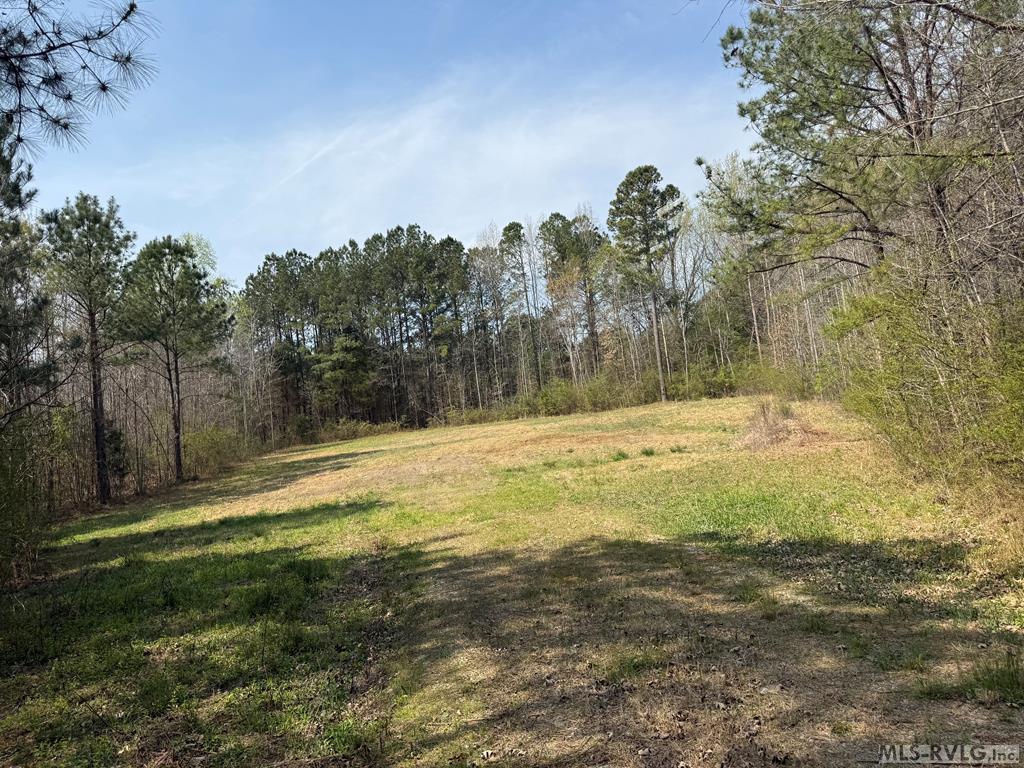 Acreage at 1280 Schloss Rd, Louisburg NC 27549, photo 9 of 11