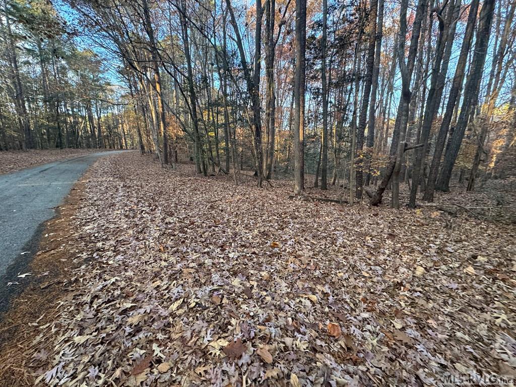 Residential Lot-Restricted at LOT 64 Windward Passage, Bracey VA 23919, photo 10 of 22