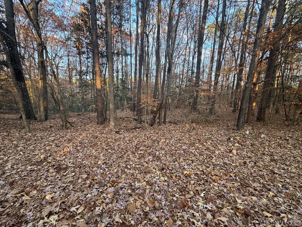 Residential Lot-Restricted at LOT 64 Windward Passage, Bracey VA 23919, photo 11 of 22