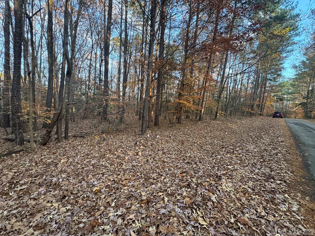Residential Lot-Restricted at LOT 64 Windward Passage, Bracey VA 23919, photo 12 of 22
