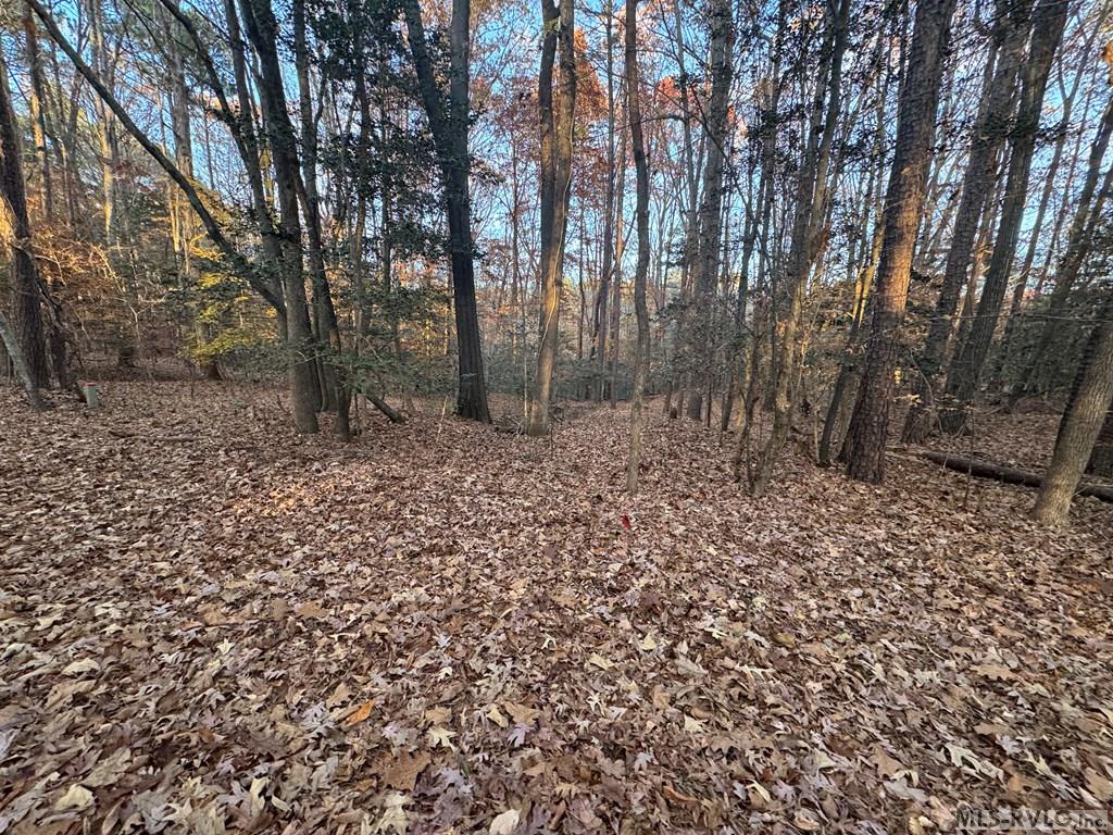Residential Lot-Restricted at LOT 64 Windward Passage, Bracey VA 23919, photo 13 of 22