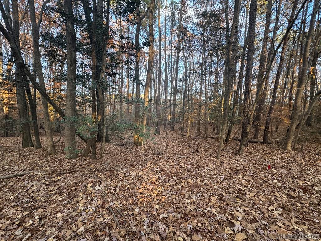 Residential Lot-Restricted at LOT 64 Windward Passage, Bracey VA 23919, photo 15 of 22