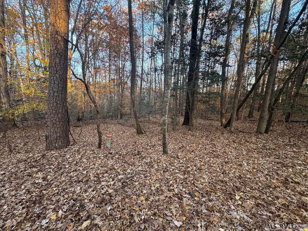 Residential Lot-Restricted at LOT 64 Windward Passage, Bracey VA 23919, photo 16 of 22