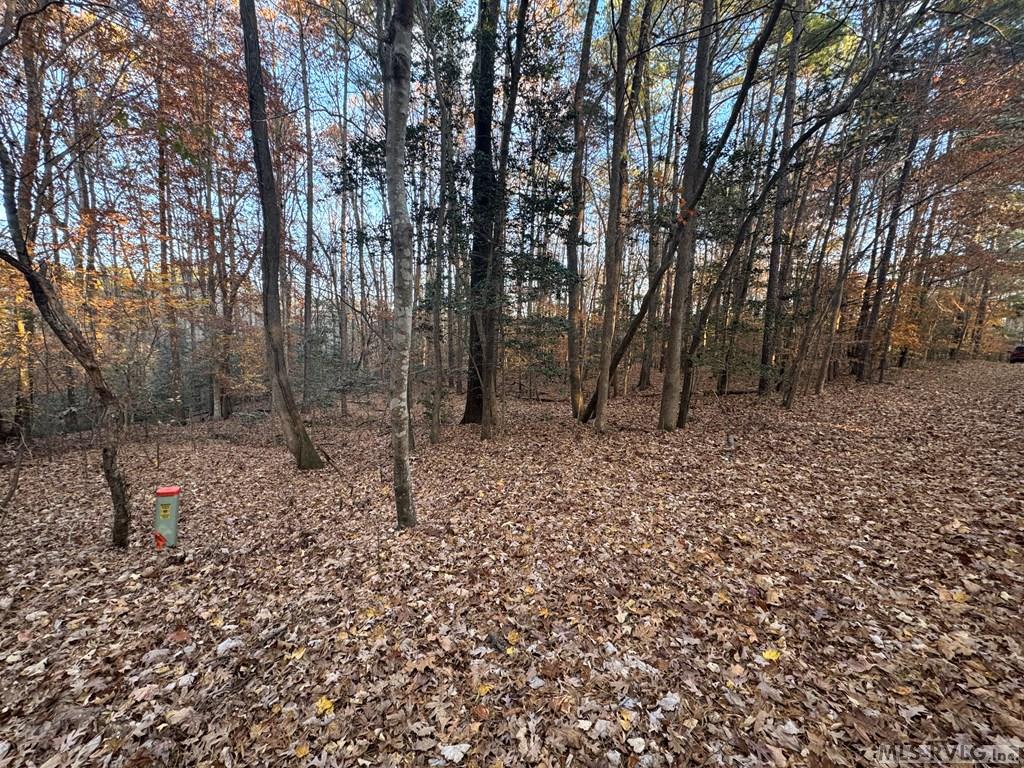 Residential Lot-Restricted at LOT 64 Windward Passage, Bracey VA 23919, photo 17 of 22