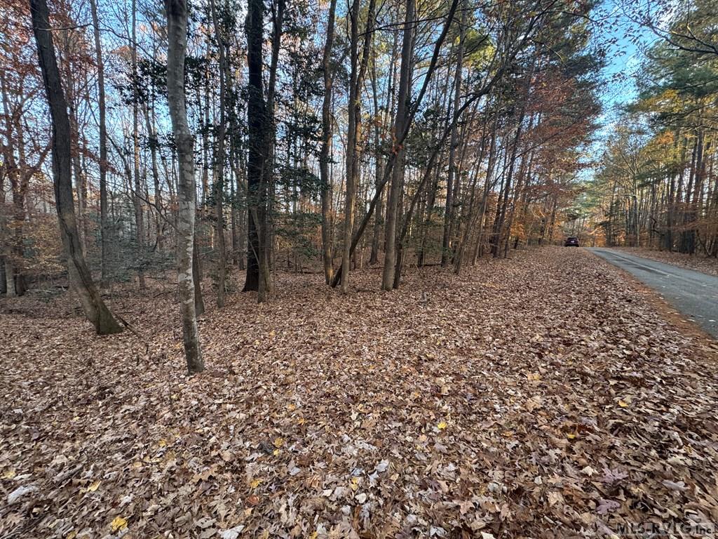 Residential Lot-Restricted at LOT 64 Windward Passage, Bracey VA 23919, photo 18 of 22