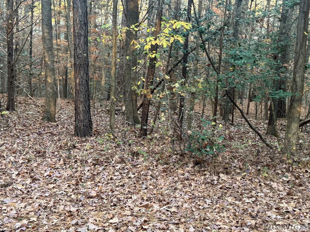 Residential Lot-Restricted at LOT 64 Windward Passage, Bracey VA 23919, photo 5 of 22