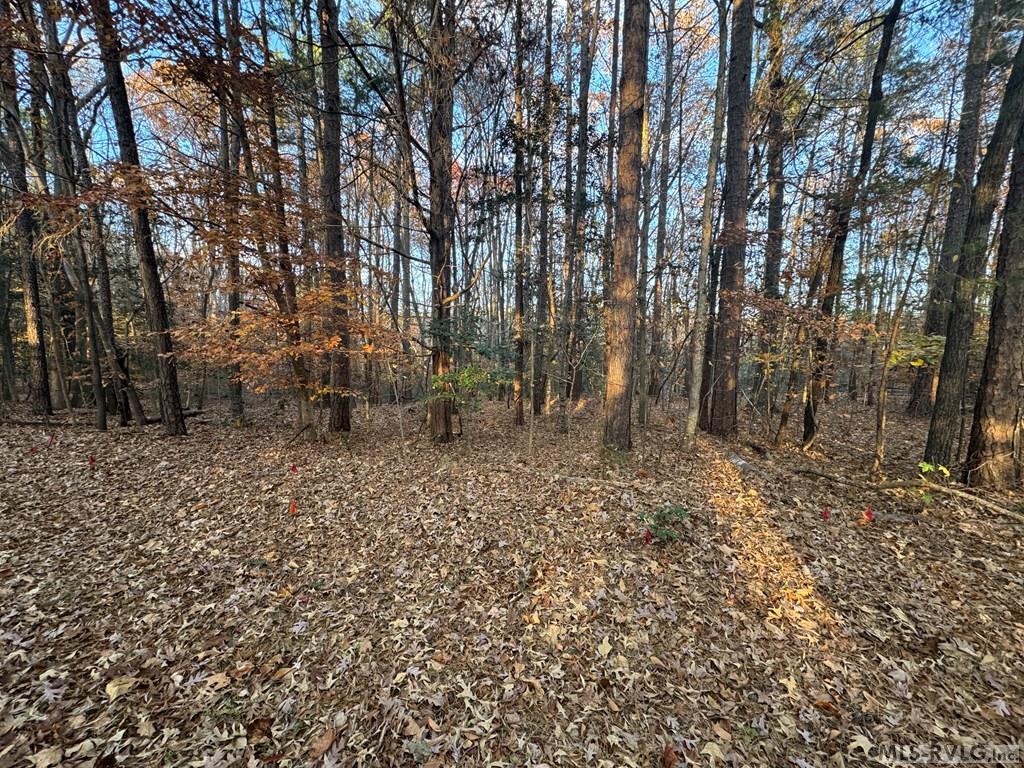 Residential Lot-Restricted at LOT 64 Windward Passage, Bracey VA 23919, photo 8 of 22