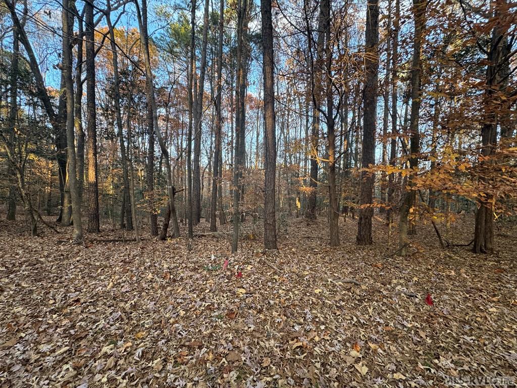 Residential Lot-Restricted at LOT 64 Windward Passage, Bracey VA 23919, photo 9 of 22