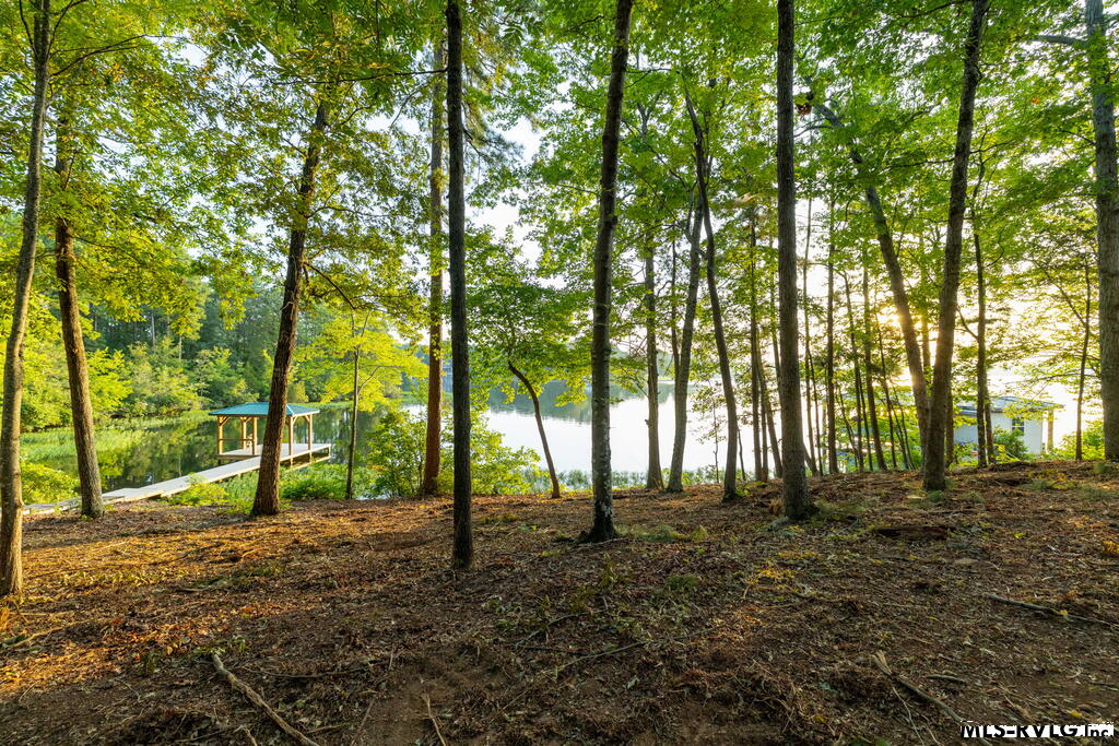 Residential Lot-Restricted at 141 South Don Haven, Littleton VA 23850, photo 26 of 29