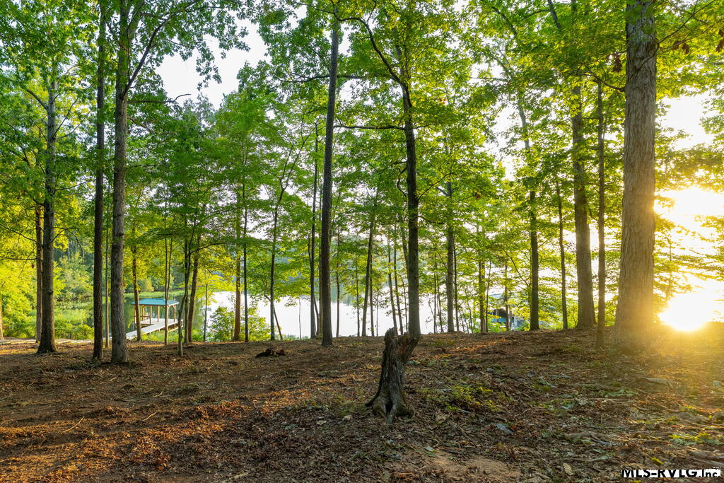 Residential Lot-Restricted at 141 South Don Haven, Littleton VA 23850, photo 27 of 29