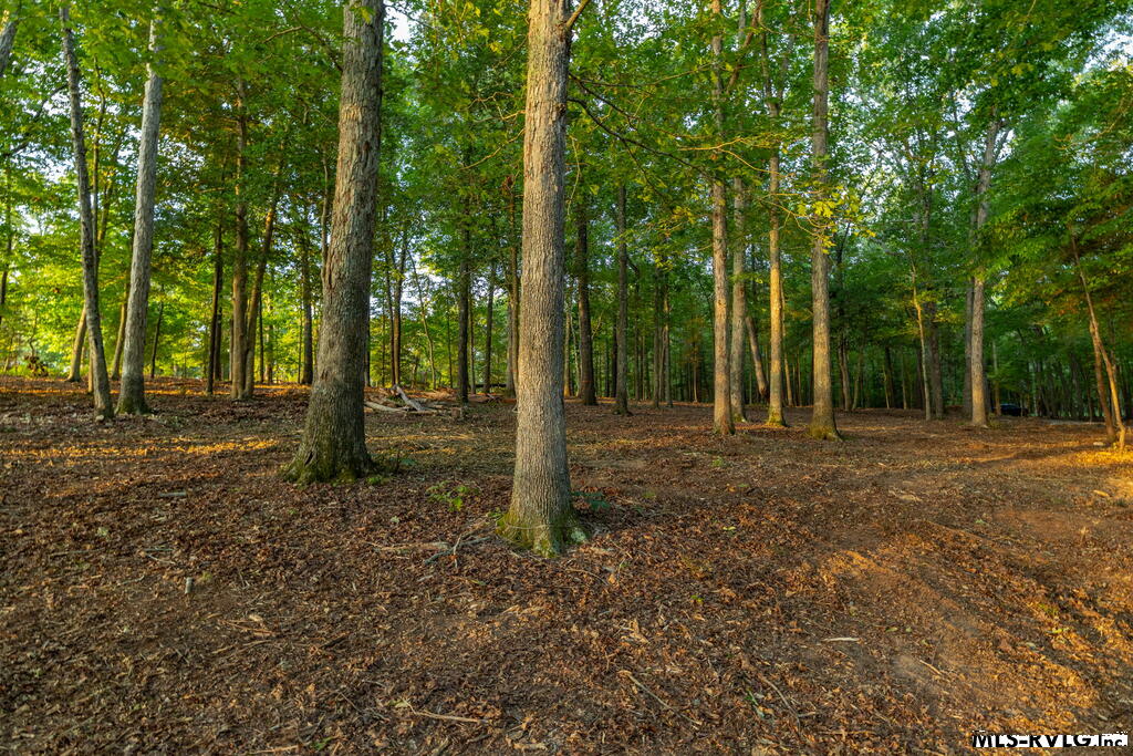 Residential Lot-Restricted at 141 South Don Haven, Littleton VA 23850, photo 28 of 29