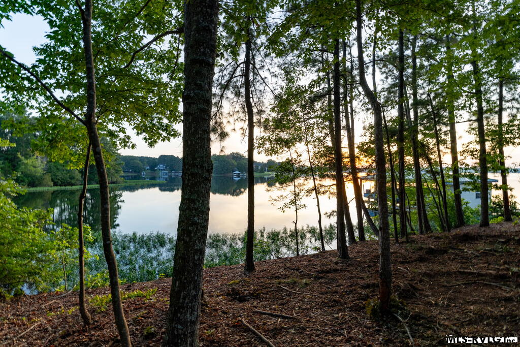Residential Lot-Restricted at 141 South Don Haven, Littleton VA 23850, photo 3 of 29