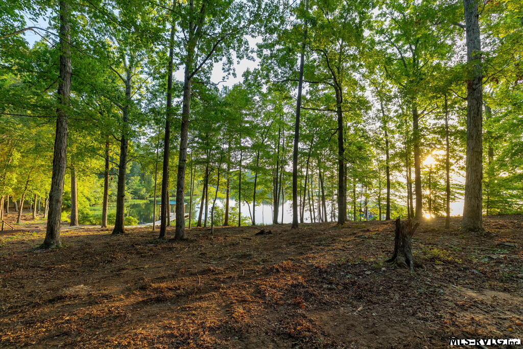 Residential Lot-Restricted at 141 South Don Haven, Littleton VA 23850, photo 4 of 29