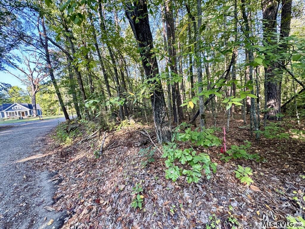 Main Level - 281 Powhatan Road, Clarksville VA 23927