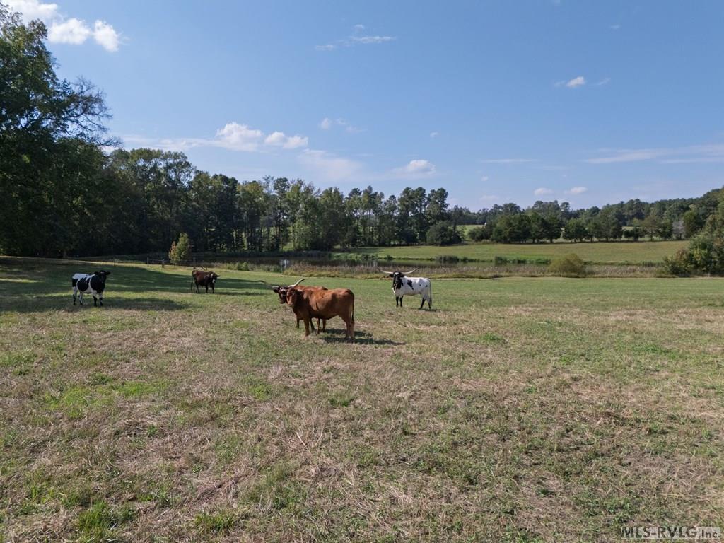 Residential/Vacation at 4943 Grandy, Brodnax VA 23920, photo 37 of 80