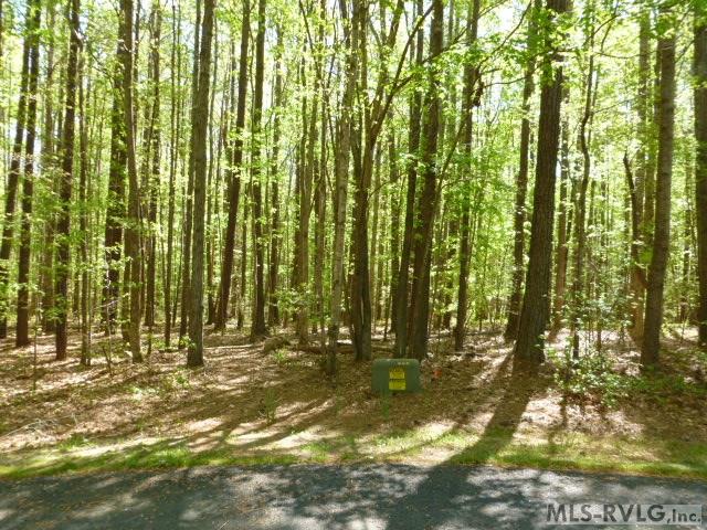 Residential Lot-Restricted at 91&92 Heron Court, Macon NC 27551, photo 2 of 5
