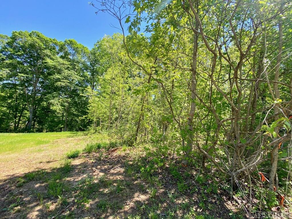 Left Side - Lot 5 Palomino Road, Buffalo Junction VA 24529