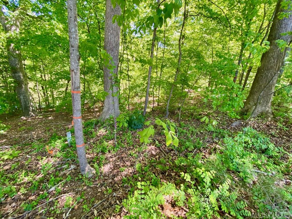 Left Front Corner - Lot 5 Palomino Road, Buffalo Junction VA 24529