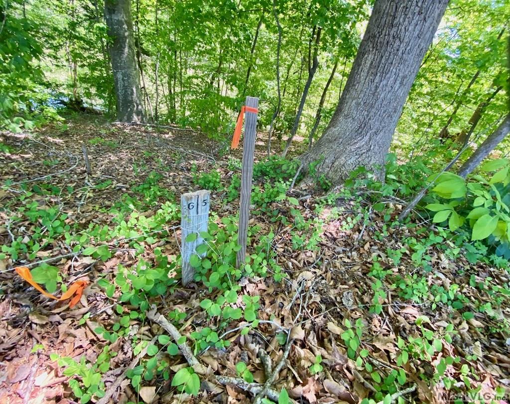 Left Rear Corner - Lot 5 Palomino Road, Buffalo Junction VA 24529